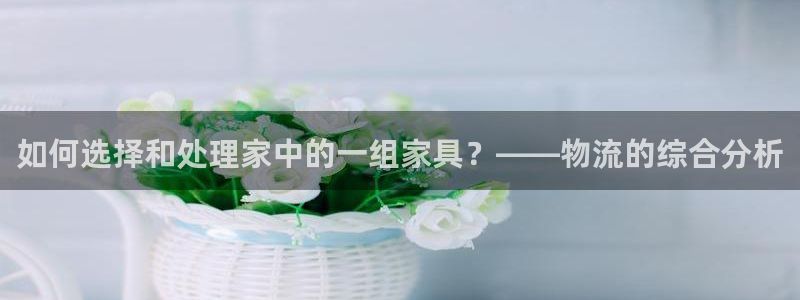 旺财28官网入口app：如何选择和处