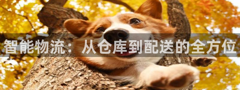 旺财28官网下载链接是什么：智能物流