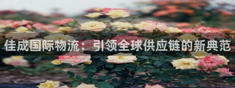 旺财28官网入口官网：佳成国际物流：引领全球供应链的新典范