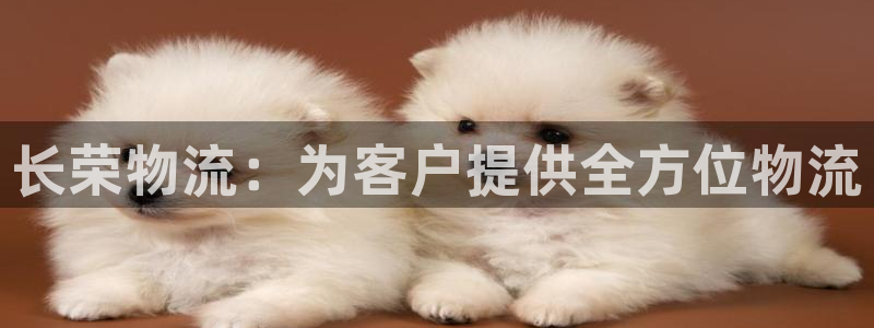 旺财28游戏链接