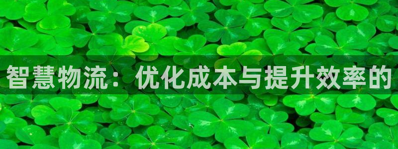 旺财28新用户怎么注册：智慧物流：优