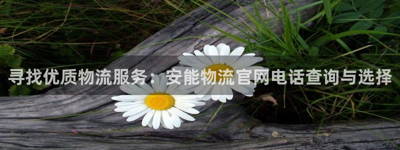 旺财28反水：寻找优质物流服务：安能
