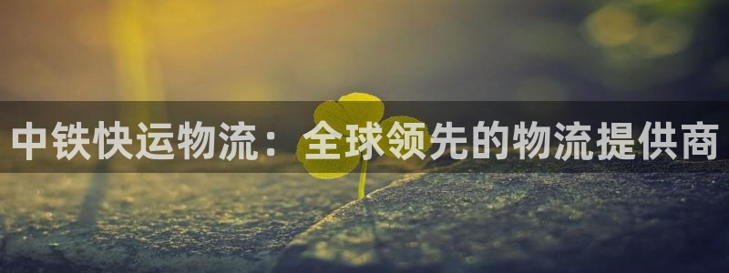 旺财28官网链接：中铁快运物流：全球领先的物流提供商