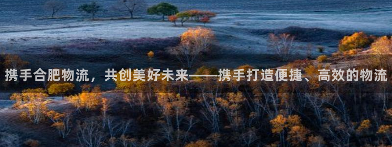 旺财28注册：携手合肥物流，共创美好