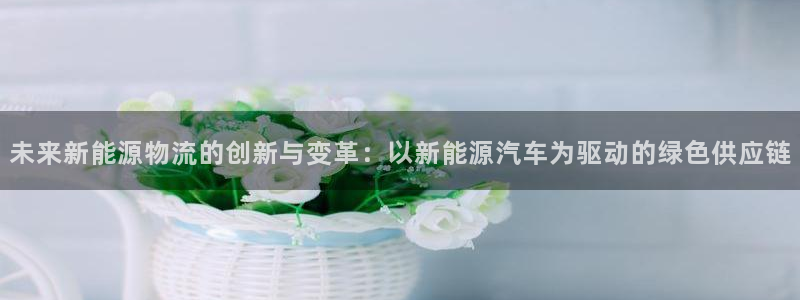 旺财28链接：未来新能源物流的创新与