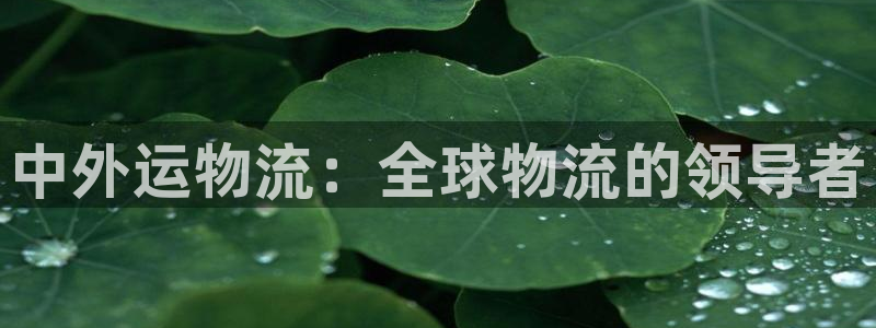 旺财28pg麻将胡了2老是空转：中外