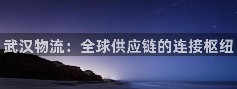 旺财28软件总是闪退怎么回事：武汉物流：全球供应链的连接枢纽
