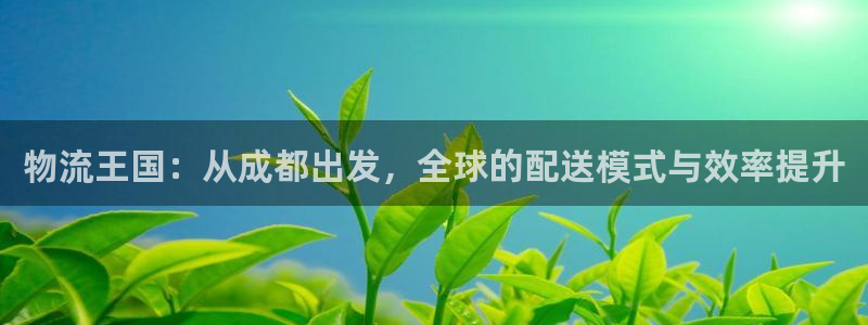 旺财28模拟器在线使用：物流王国：从