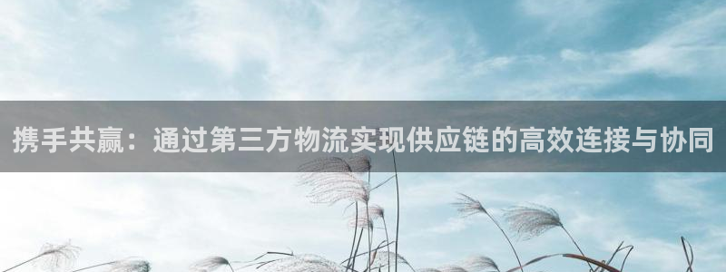 旺财28麻将：携手共赢：通过第三方物