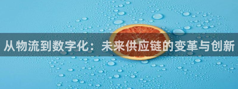 旺财28p扣款什么意思：从物流到数字