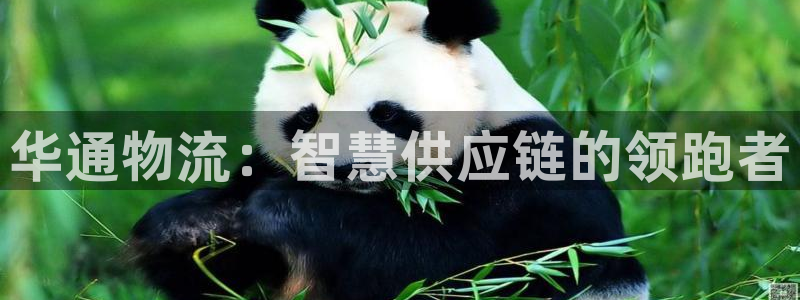 旺财28官网平台下载：华通物流：智慧
