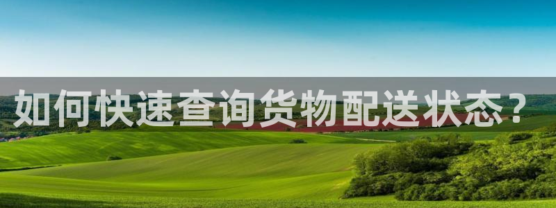 旺财28起来的符号：如何快速查询货物配送状态？