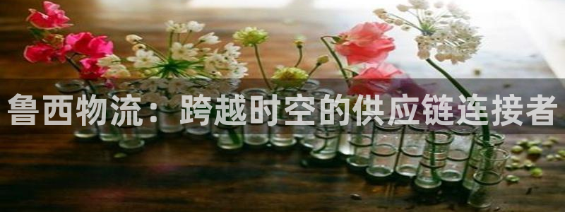 旺财28app官网少林足球