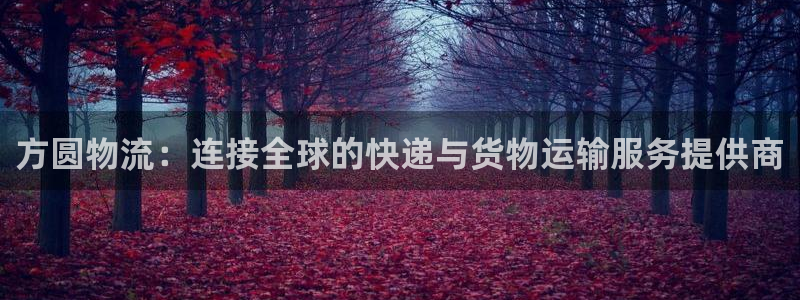 旺财28注册登录链接:方圆物流:连接