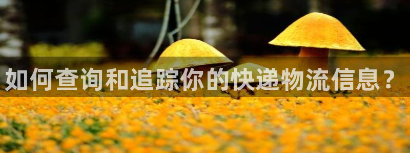 旺财28怎么注册账号和密码:如何查询