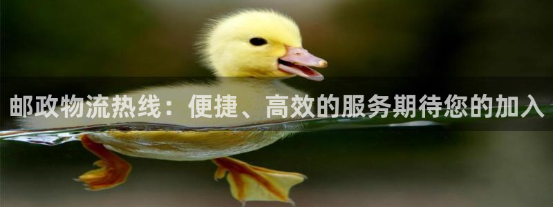 旺财28相信品牌的力量