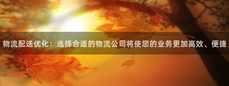 旺财28体育下载:物流配送优化:选择