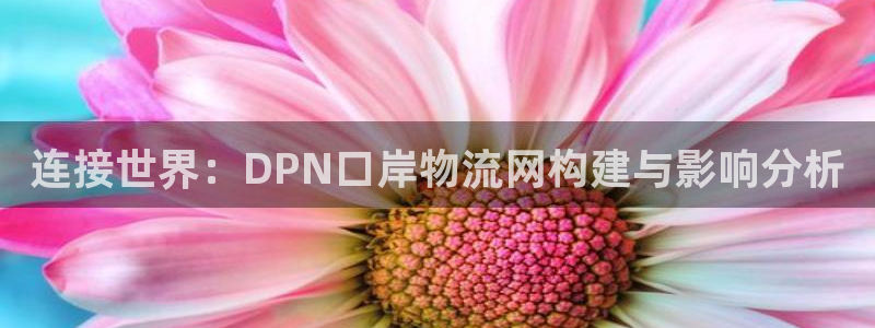 旺财28新用户怎么注册