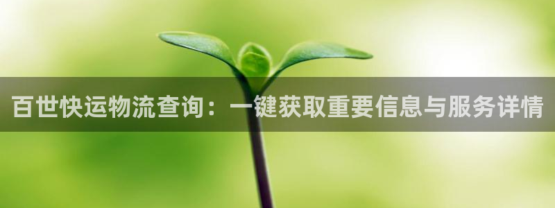 旺财28加拿大6.0：百世快运物流查