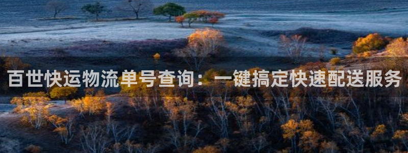 旺财28v6能卖多少：百世快运物流单