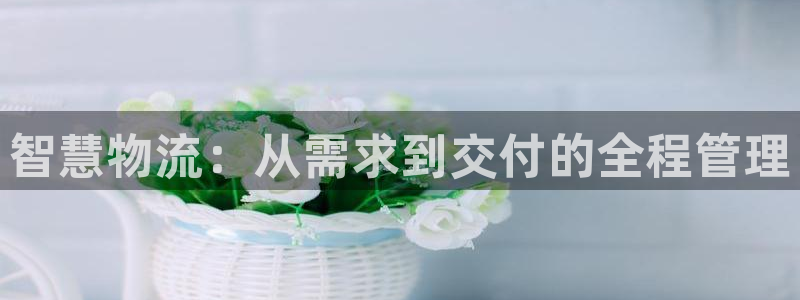 旺财28注册登录链接：智慧物流：从需