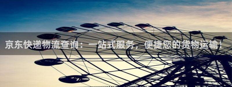 旺财28登录流程：京东快递物流查询：