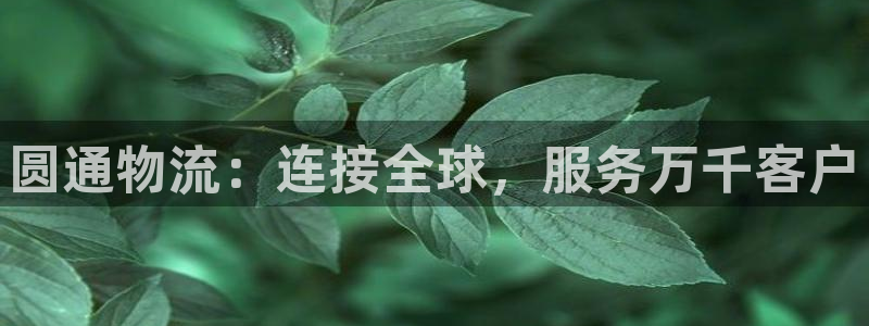 旺财28官网下载多少钱：圆通物流：连