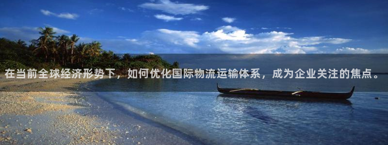 旺财28加拿大app预测：在当前全球经济形势下，如何优化国际