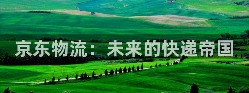 旺财28充值不到账怎么办：京东物流：