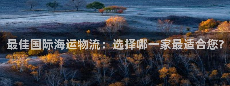 旺财28注册地址：最佳国际海运物流：