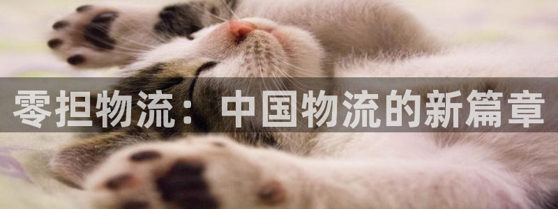 旺财28官网入口南宫：零担物流：中国