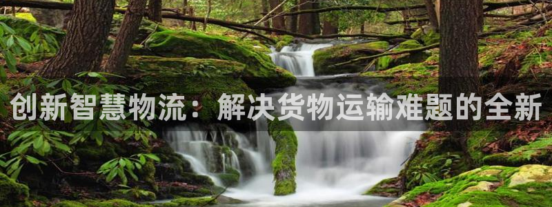旺财28官网下载链接:创新智慧物流: